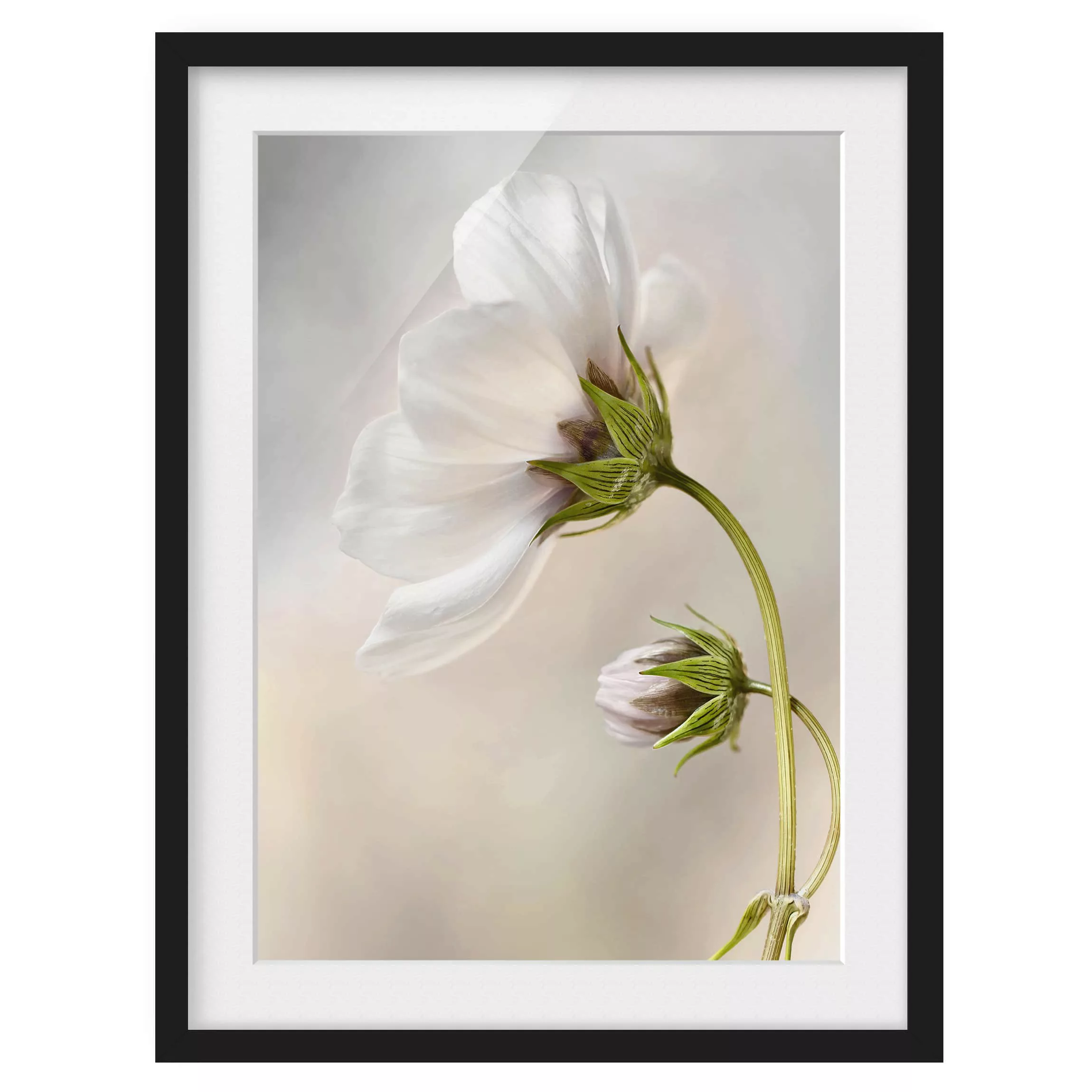 home24 Bild Himmlischer Blütentraum I günstig online kaufen