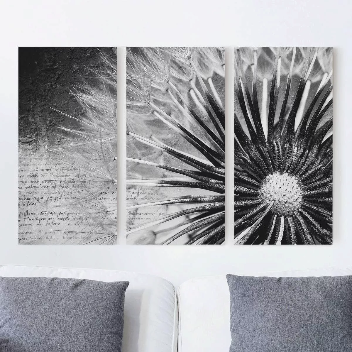 3-teiliges Leinwandbild Blumen - Querformat Pusteblume Schwarz & Weiß günstig online kaufen