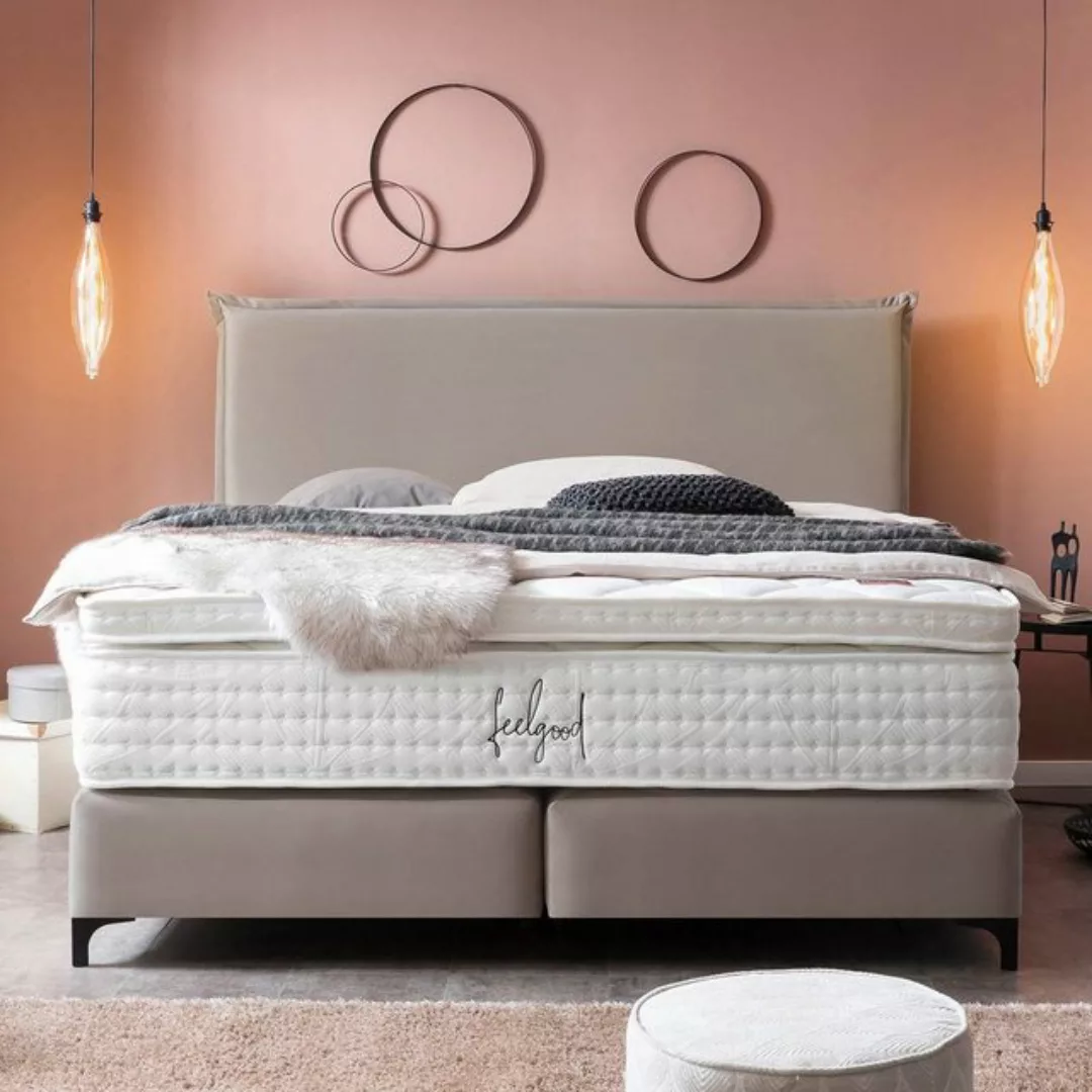 BettCo Boxspringbett London (in Taupe Velours, 200 x 200 cm), Kopfteil mit günstig online kaufen