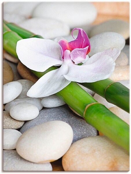 Artland Wandbild "Zen Orchidee", Zen, (1 St.), als Alubild, Outdoorbild, Le günstig online kaufen