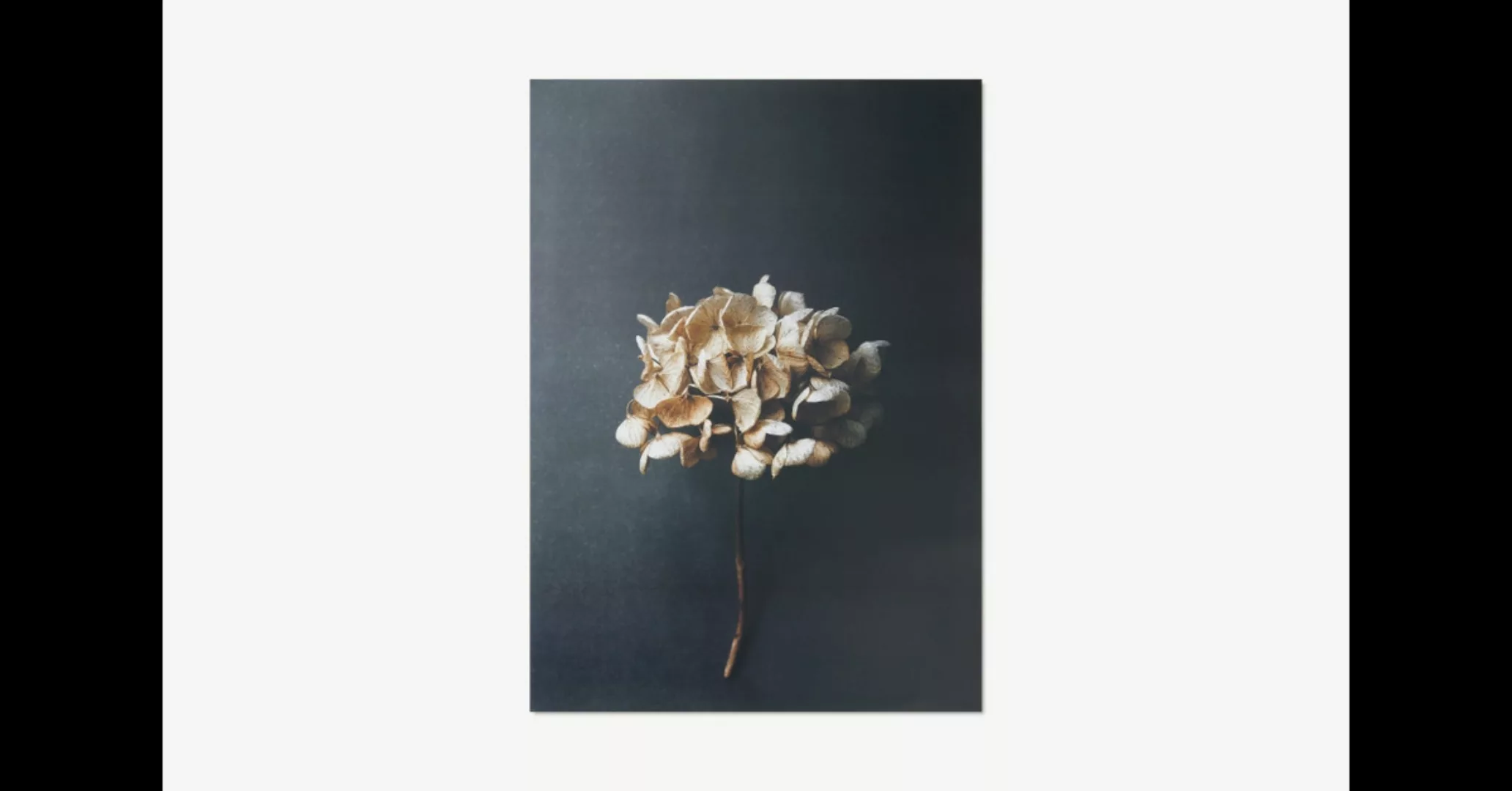 Paper Collective Still Life 04 Kunstdruck von Pia Winther (50 x 70 cm) - MA günstig online kaufen