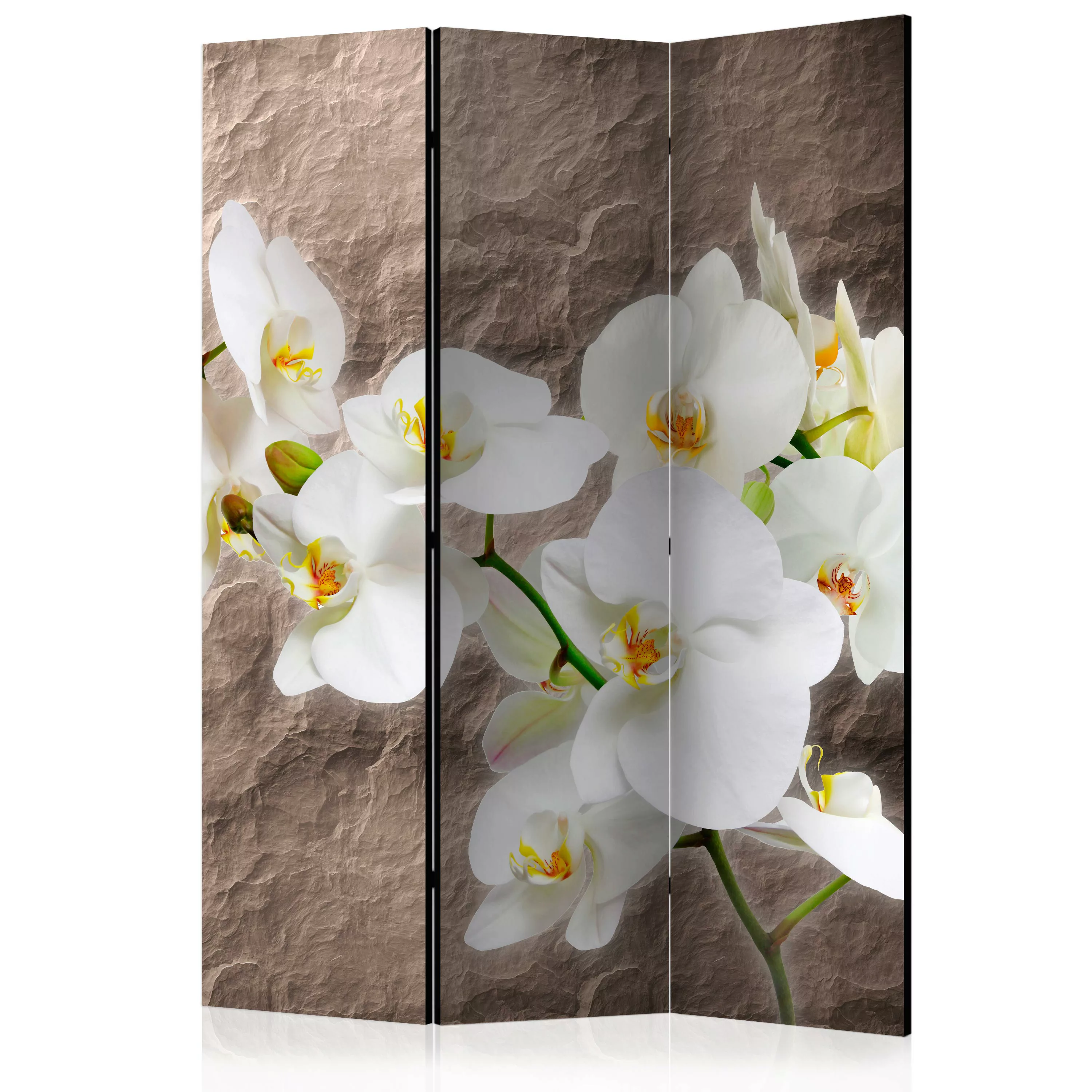 3-teiliges Paravent - Impeccability Of The Orchid [room Dividers] günstig online kaufen