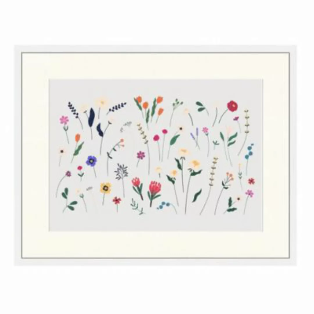 Any Image Wandbild Blumen weiß Gr. 60 x 80 günstig online kaufen