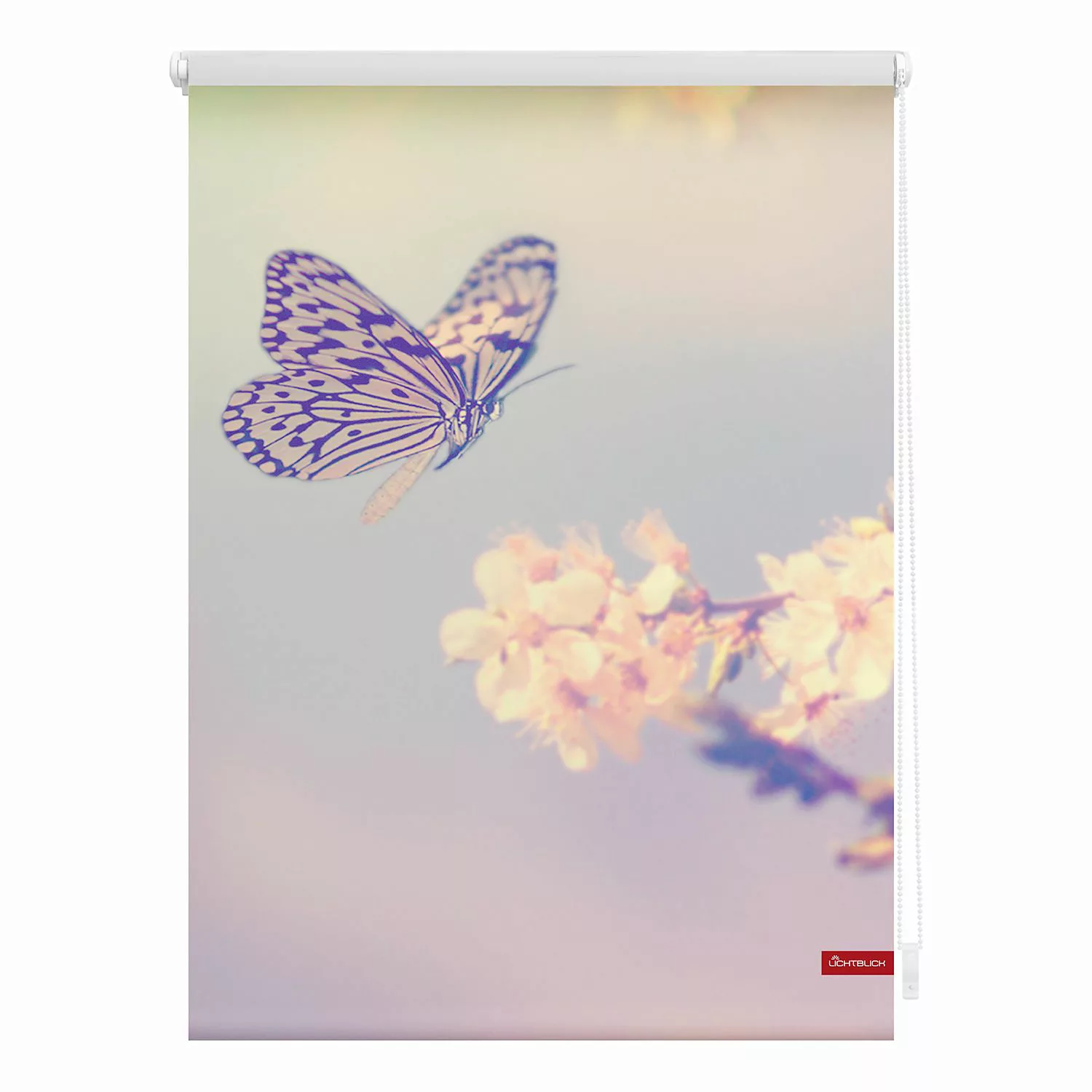 LICHTBLICK ORIGINAL Seitenzugrollo »Klemmfix Motiv Schmetterling«, Lichtsch günstig online kaufen