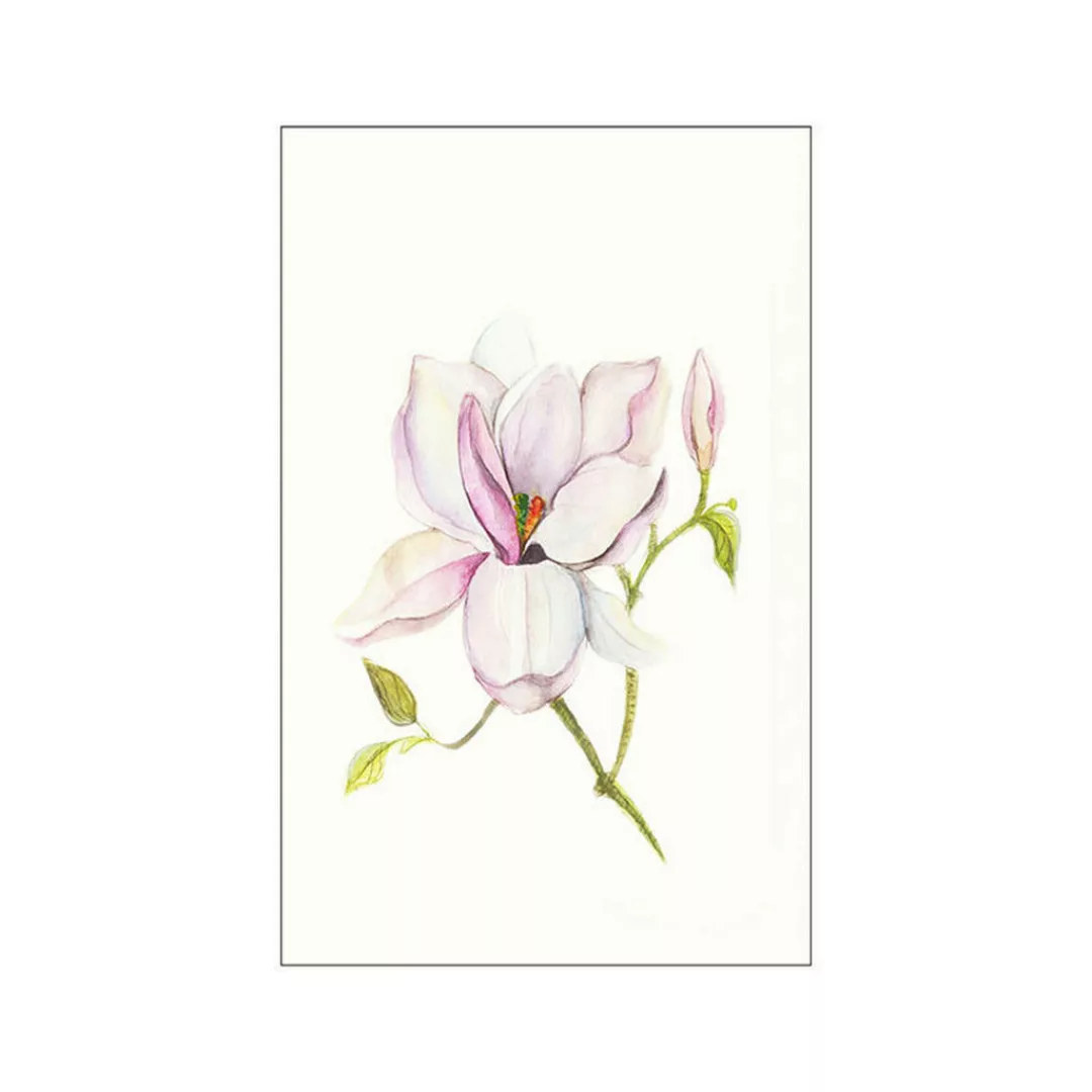 KOMAR Wandbild - Magnolia Shine - Größe: 50 x 70 cm mehrfarbig Gr. one size günstig online kaufen