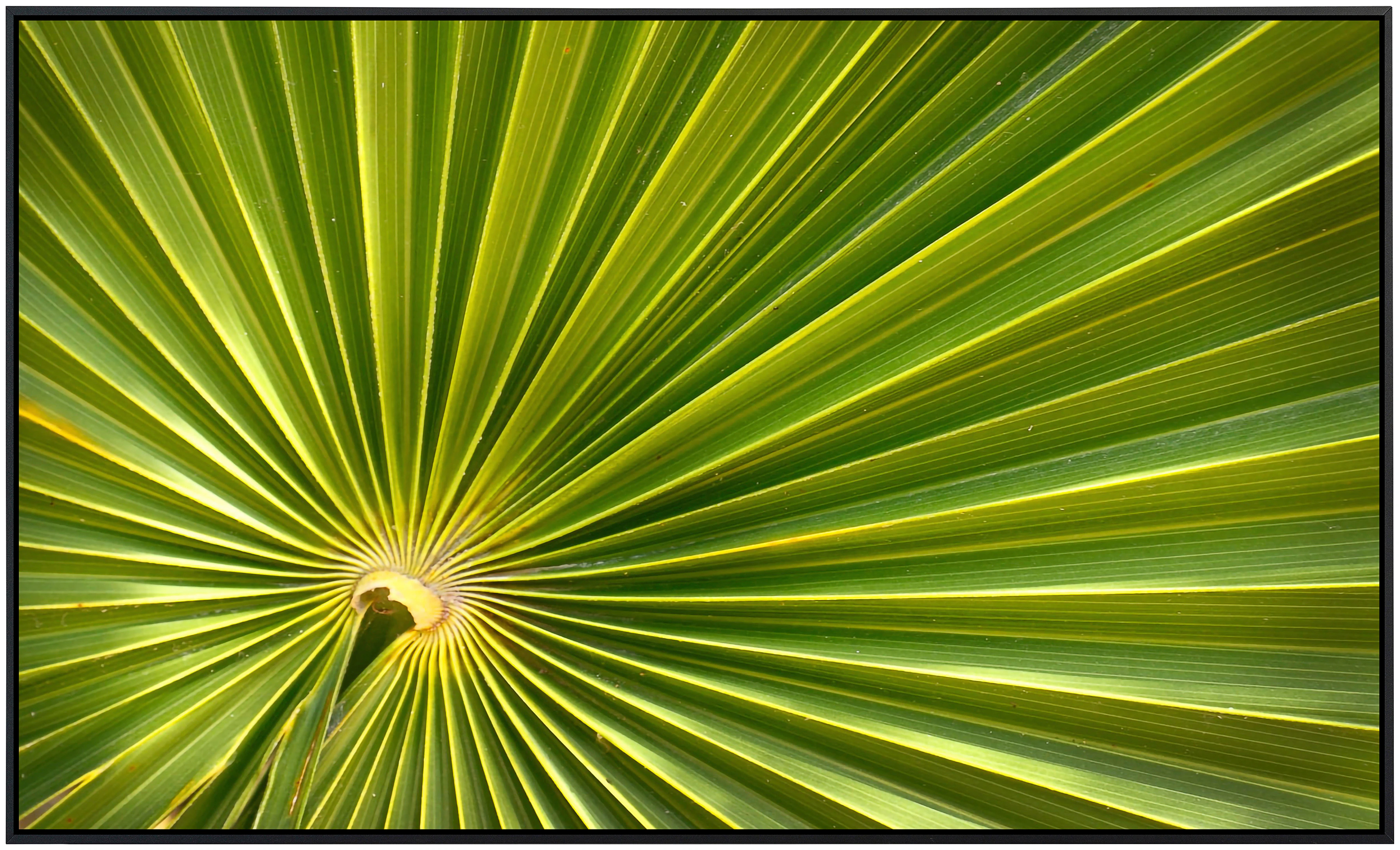 Papermoon Infrarotheizung »Pflanze«, sehr angenehme Strahlungswärme günstig online kaufen