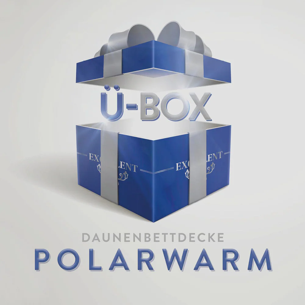 Excellent Daunenbettdecke »Überraschungsbox«, polarwarm, Füllung 90% Daunen günstig online kaufen