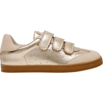 Steve Madden  Sneaker Sneaker günstig online kaufen