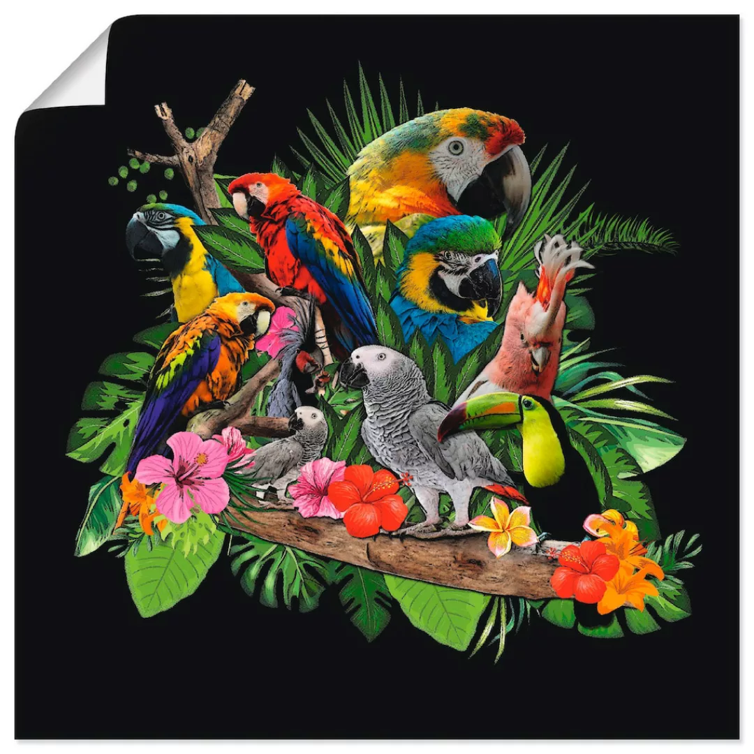 Artland Wandbild "Papageien Graupapagei Kakadu Dschungel", Vögel, (1 St.), günstig online kaufen