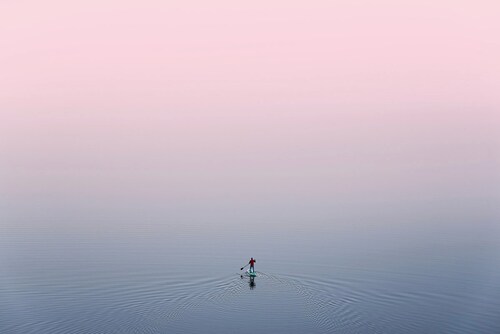 Papermoon Fototapete »Ente im Wasser« günstig online kaufen