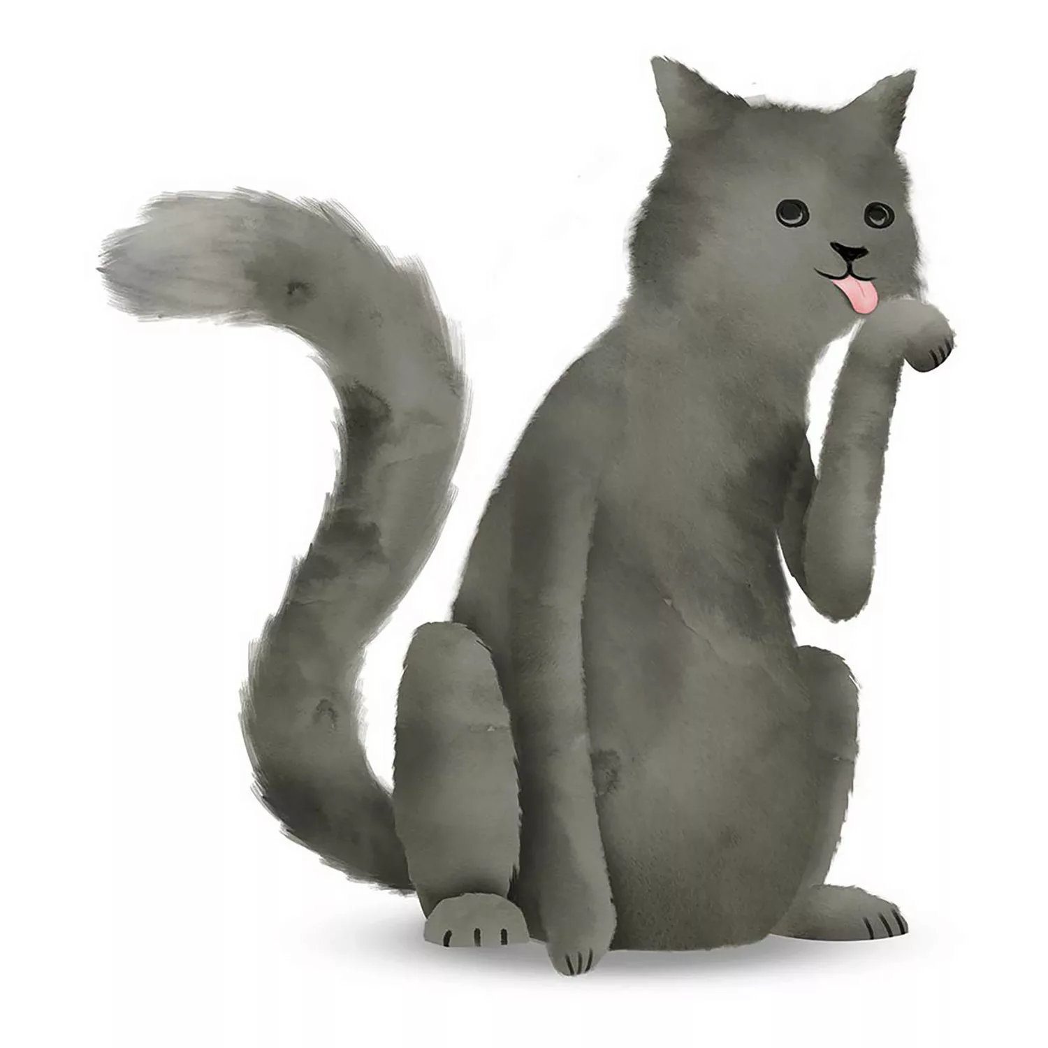 KOMAR Wandbild - Cute Animal Cat - Größe: 50 x 70 cm mehrfarbig Gr. one siz günstig online kaufen
