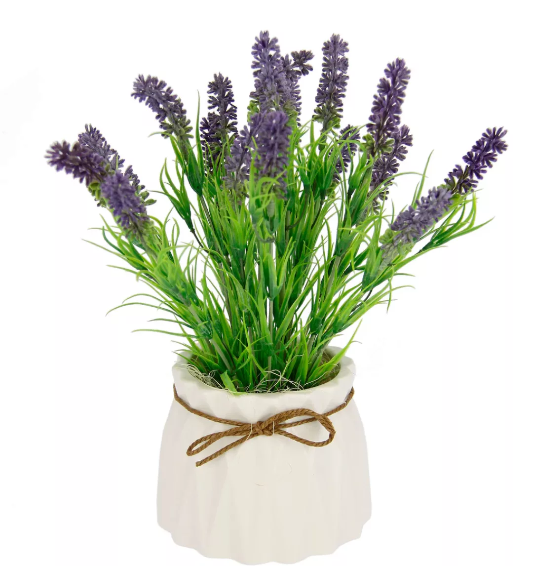 I.GE.A. Kunstpflanze "Lavendel" günstig online kaufen