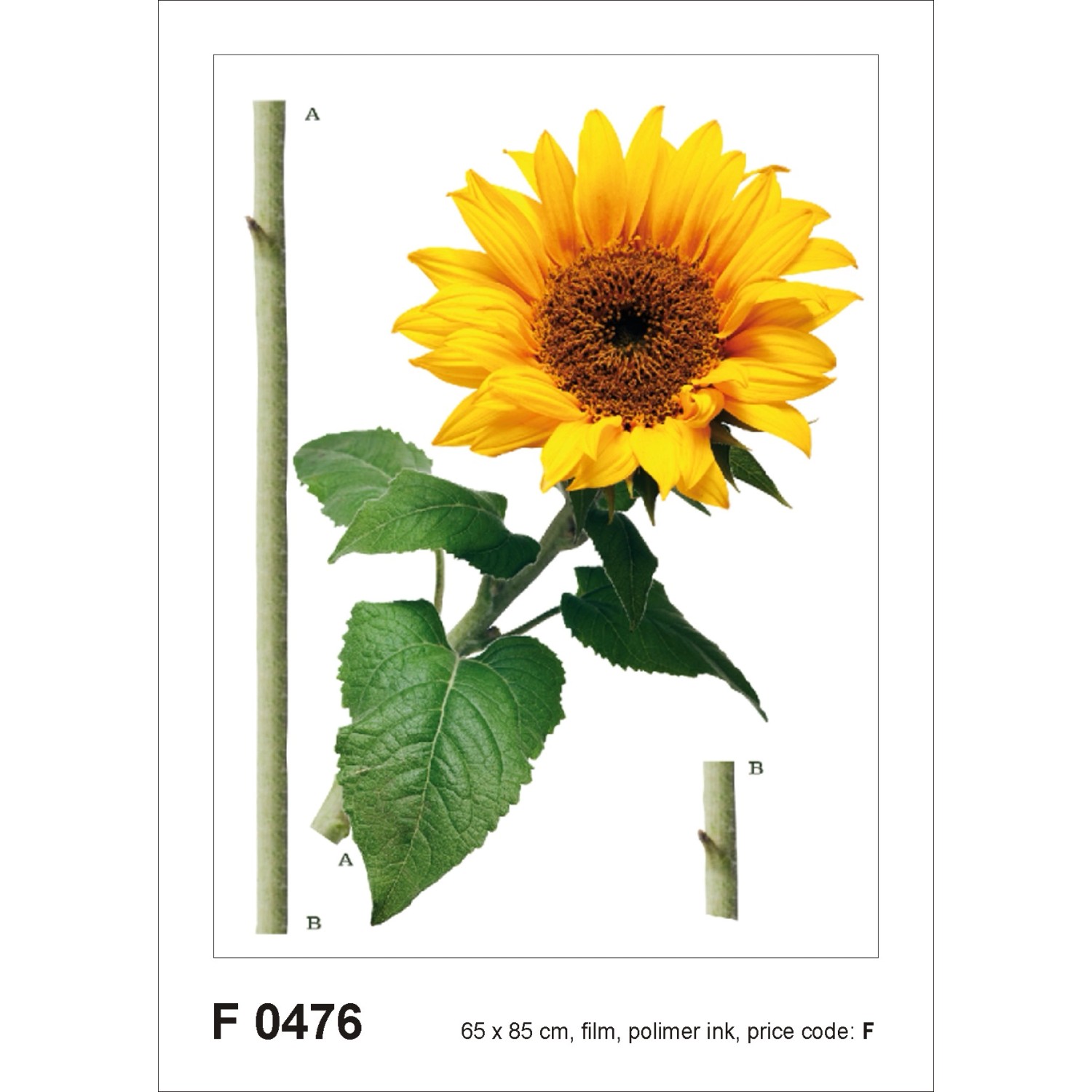 Sanders & Sanders Wandtattoo Sonnenblume Gelb und Grün 65 x 85 cm 600262 günstig online kaufen