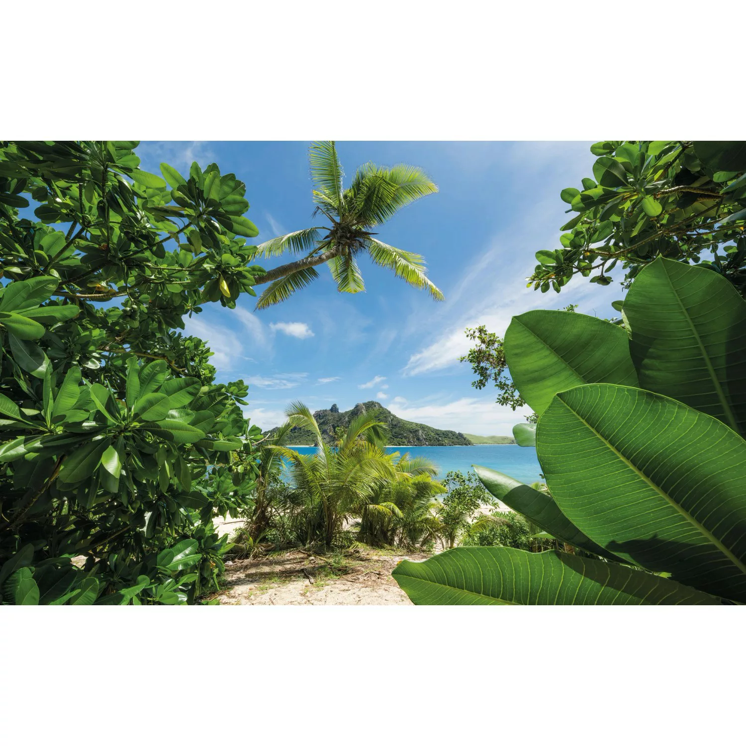 KOMAR Vlies Fototapete - Cast Away Jungle  - Größe 450 x 280 cm mehrfarbig günstig online kaufen