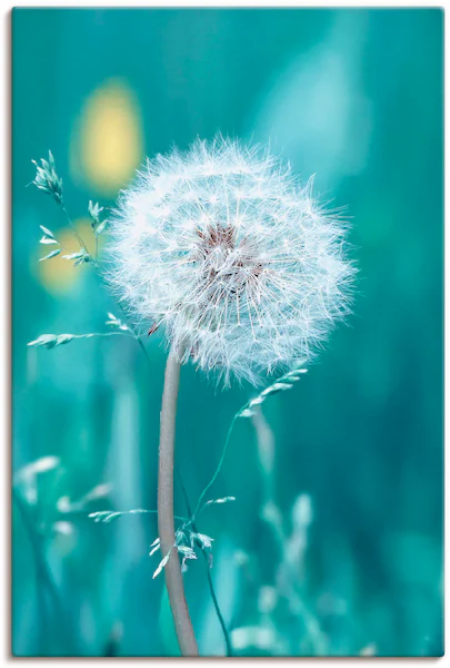 Artland Wandbild "Pusteblume", Blumen, (1 St.), als Leinwandbild, Poster, W günstig online kaufen