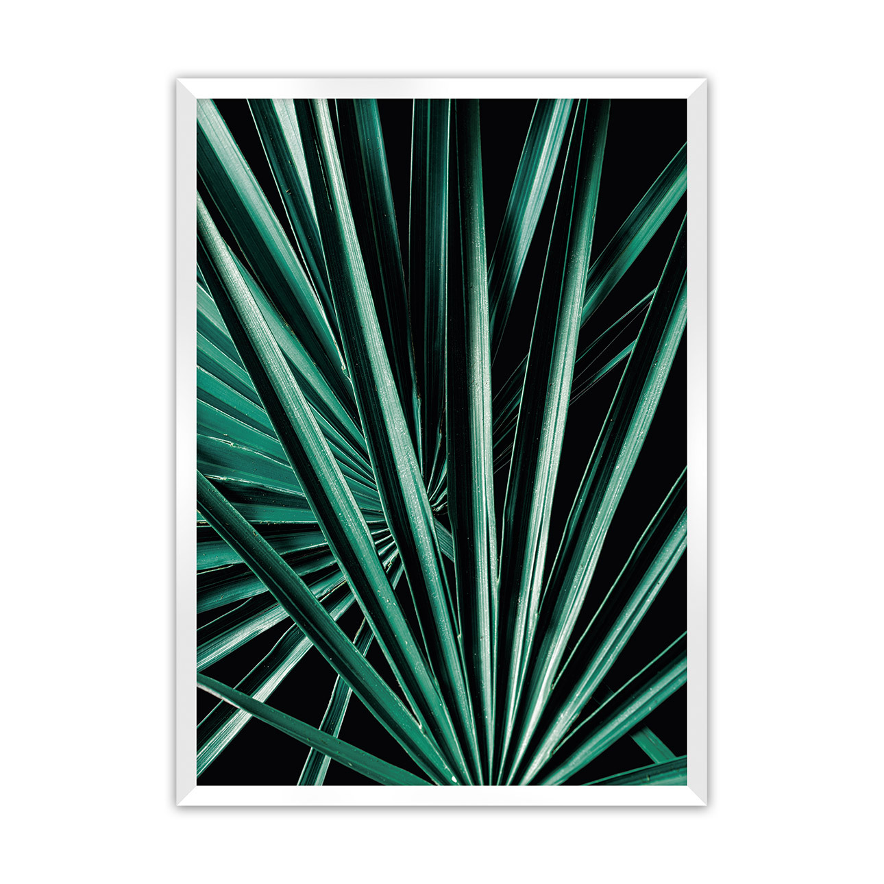 Poster Dark Palm Tree, 40 x 50 cm , Rahmen wählen: weiss günstig online kaufen