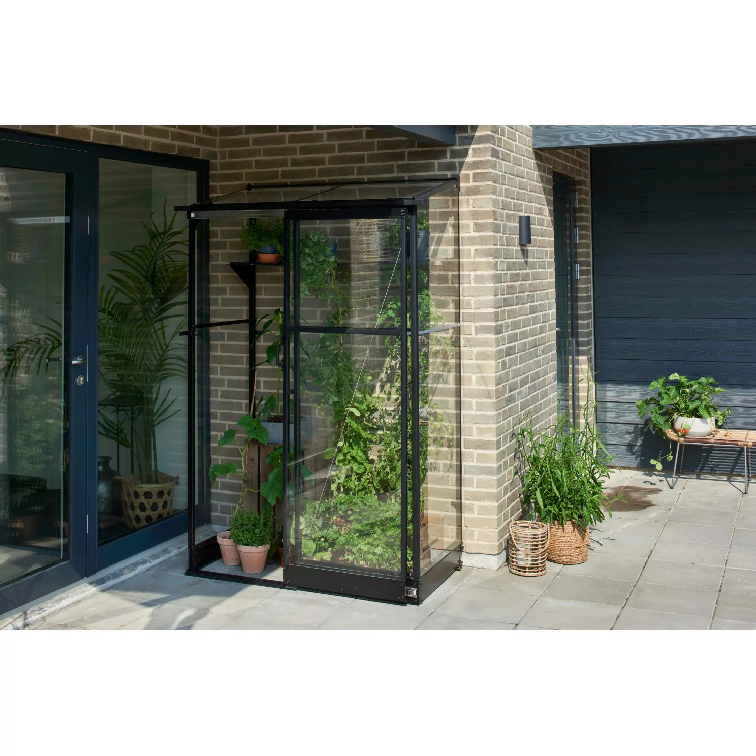 Halls Gewächshaus Qube Lean-to 24 mit 3 mm Sicherheitsglas 0,8 m² Schwarz günstig online kaufen