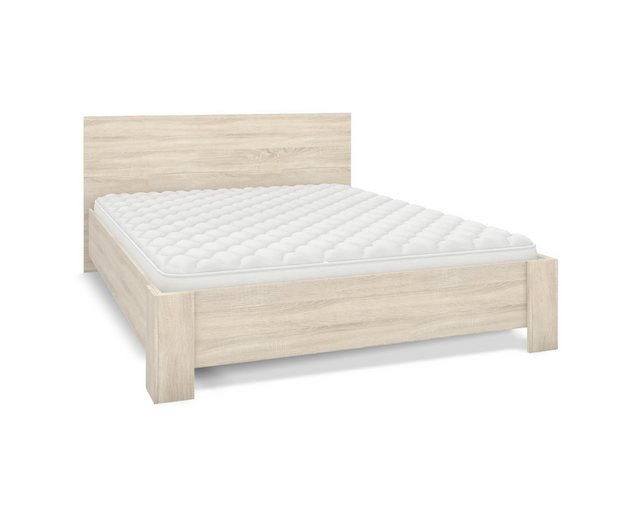 Deine Möbel 24 Bett SIMPLE 160x200 cm Weiß Eiche Sonoma (Set, 2-tlg., Set), günstig online kaufen