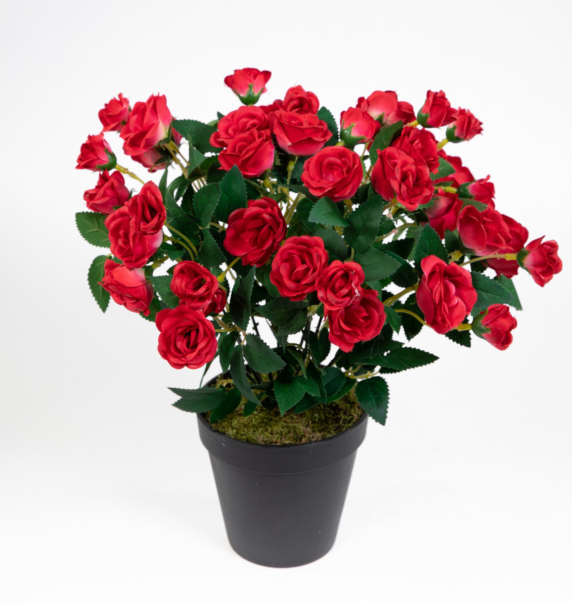 Kunstblume Rosenbusch 30cm im Topf ZF günstig online kaufen