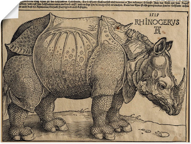 Artland Kunstdruck "Nashorn. 1515. Für König Emanuel.", Wildtiere, (1 St.), günstig online kaufen