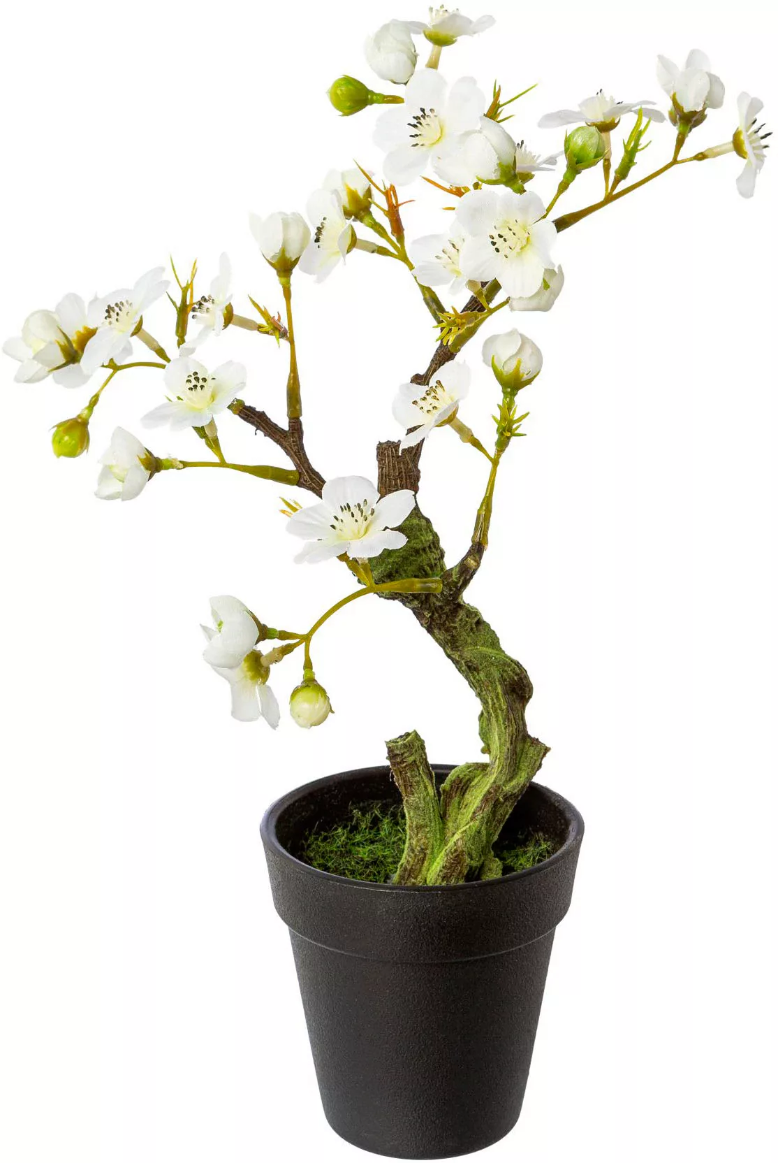 Creativ green Kunstblume "Mandelbonsai im Topf" günstig online kaufen