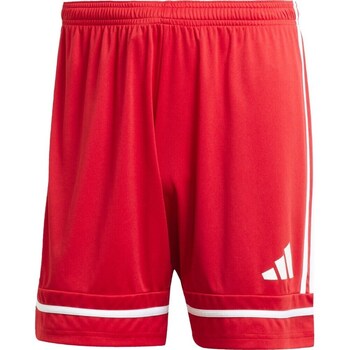 adidas  Shorts Squadra 25 günstig online kaufen