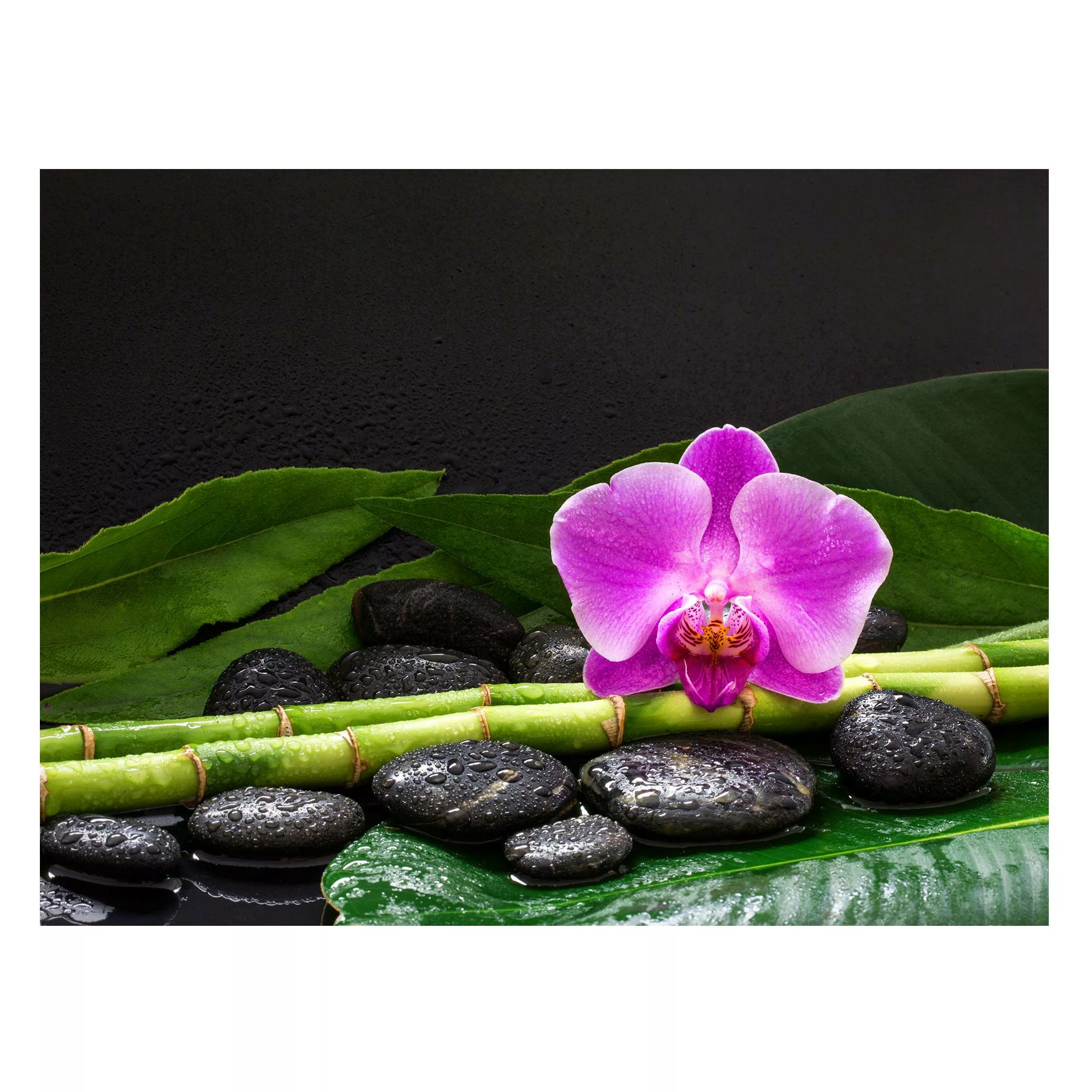 Magnettafel Grüner Bambus mit Orchideenblüte günstig online kaufen