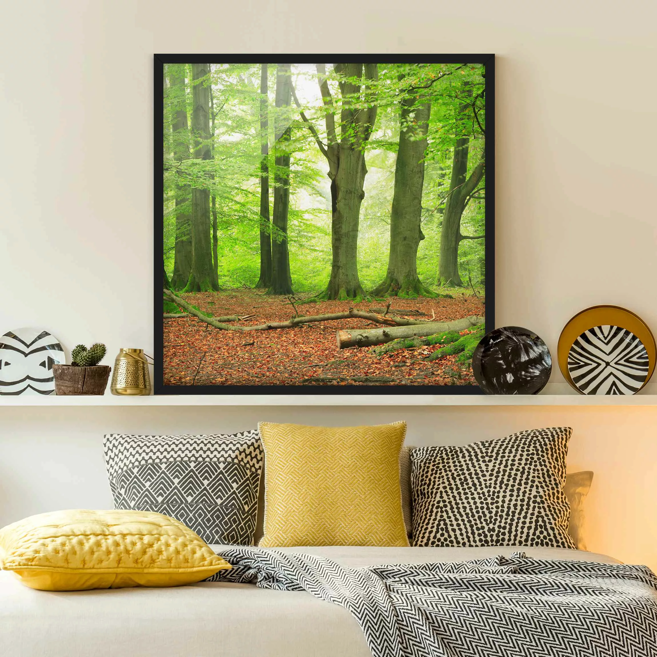 Bild mit Rahmen - Quadrat Mighty Beech Trees günstig online kaufen