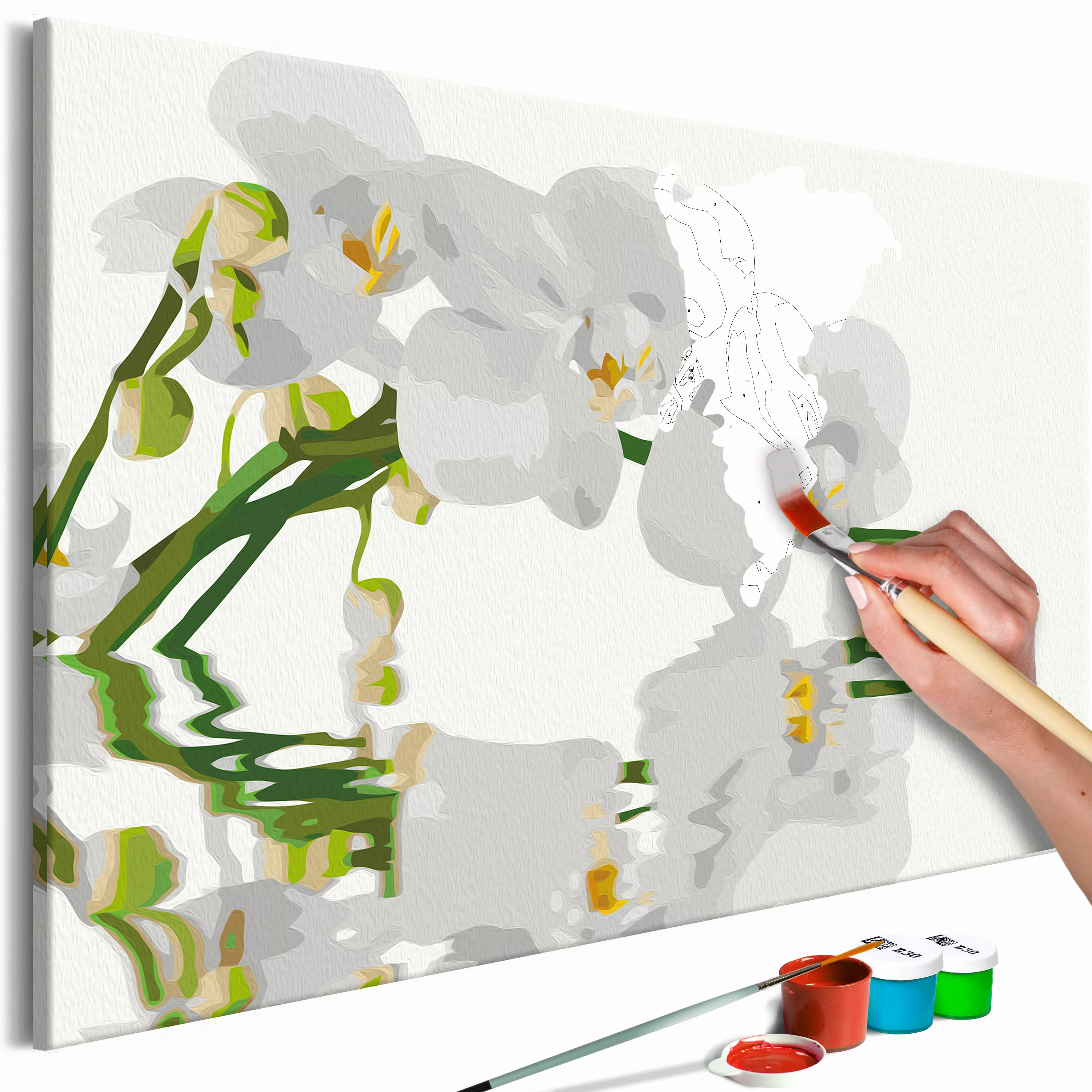 Malen Nach Zahlen - Floral Reflection günstig online kaufen
