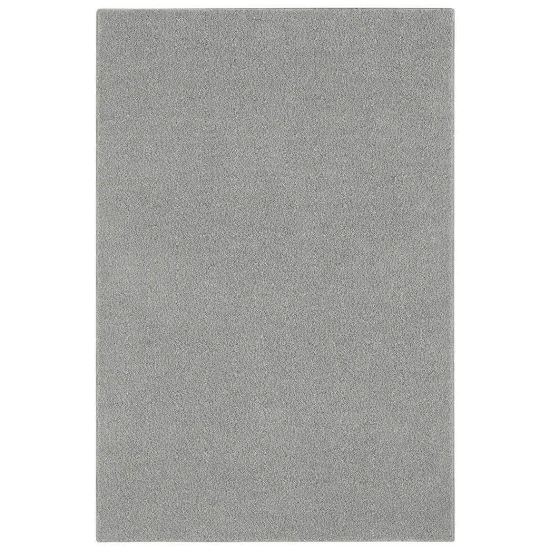Langflorteppich Softissimo hellgrau B/L: ca. 57x120 cm günstig online kaufen