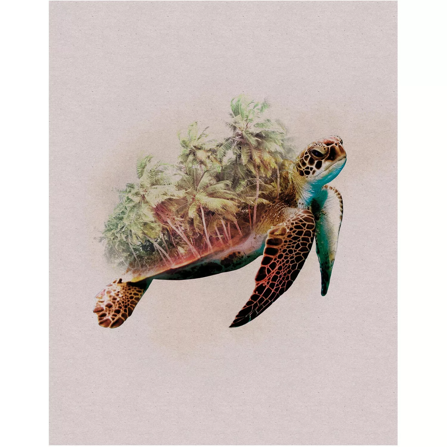 Komar Poster "Animals Paradise Turtle", Tiere, (1 St.), Kinderzimmer, Schla günstig online kaufen