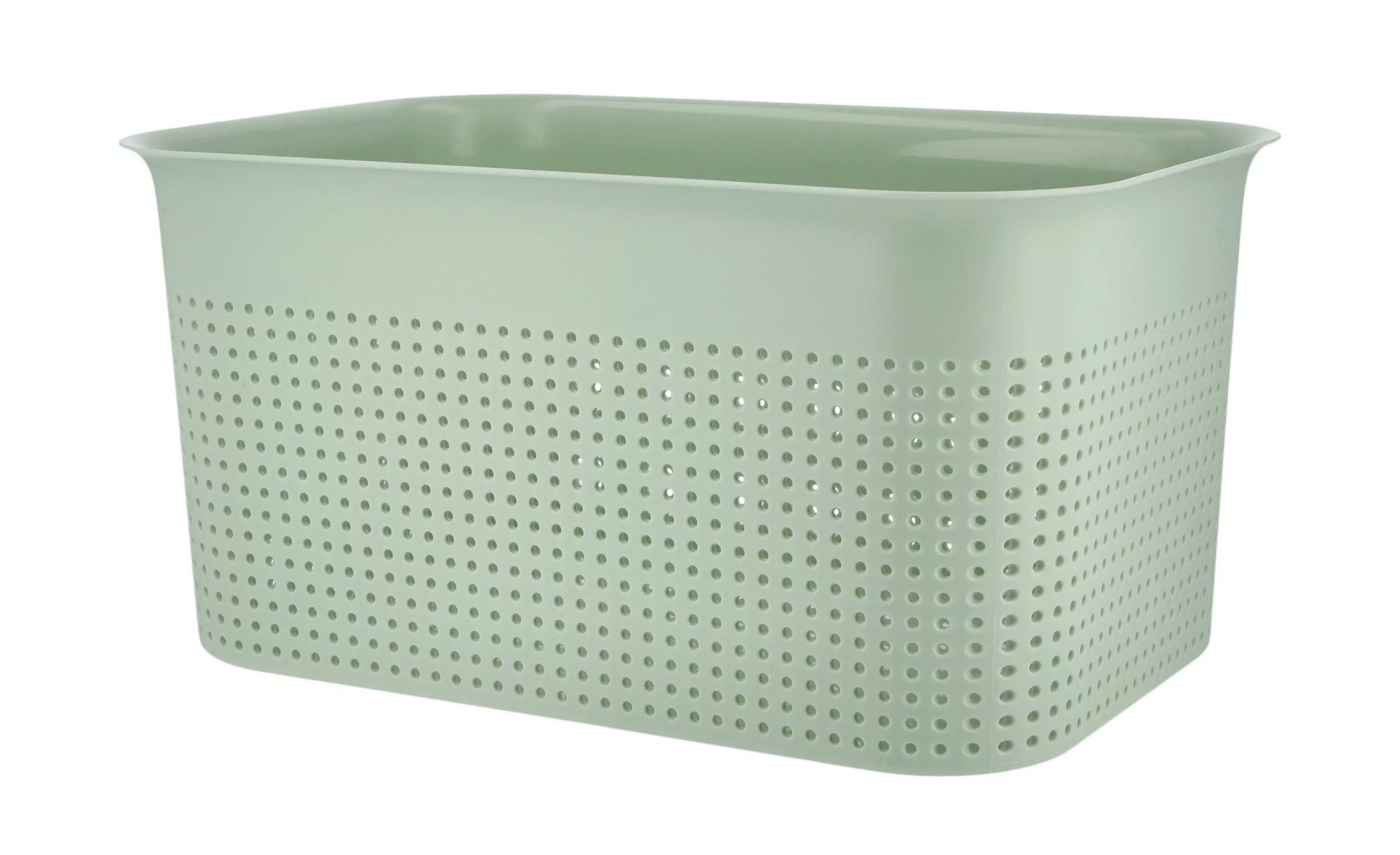 Rotho Aufbewahrungsbox - grün - Kunststoff - 26 cm - 13 cm - 18 cm - Aufbew günstig online kaufen