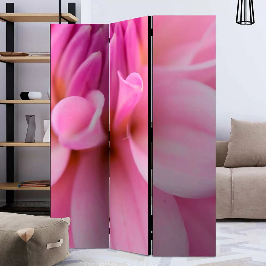 Sichtschutz Wand in Pink und Rosa Nahaufnahme Dahlie günstig online kaufen