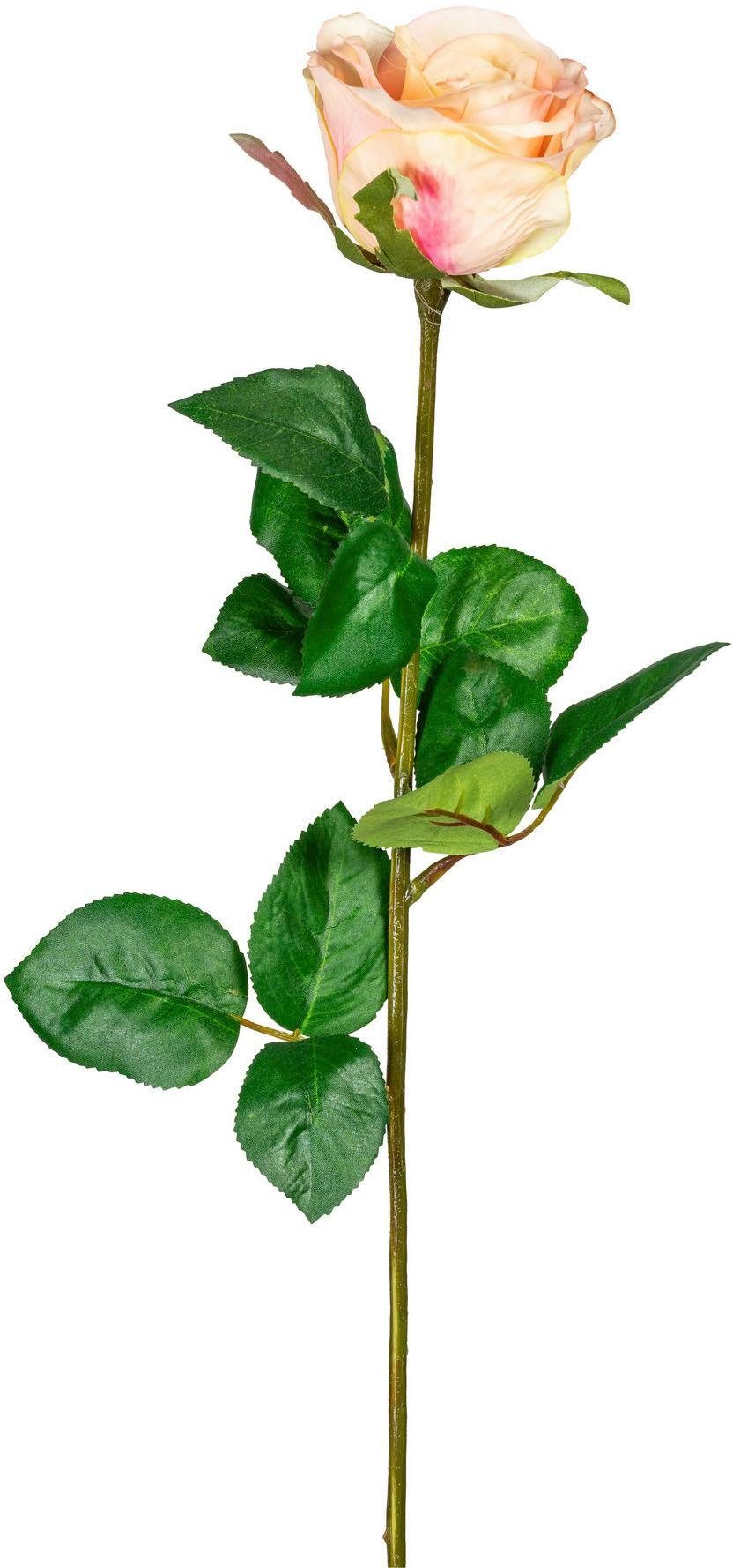 Kunstblume, Creativ green, Höhe 69 cm günstig online kaufen