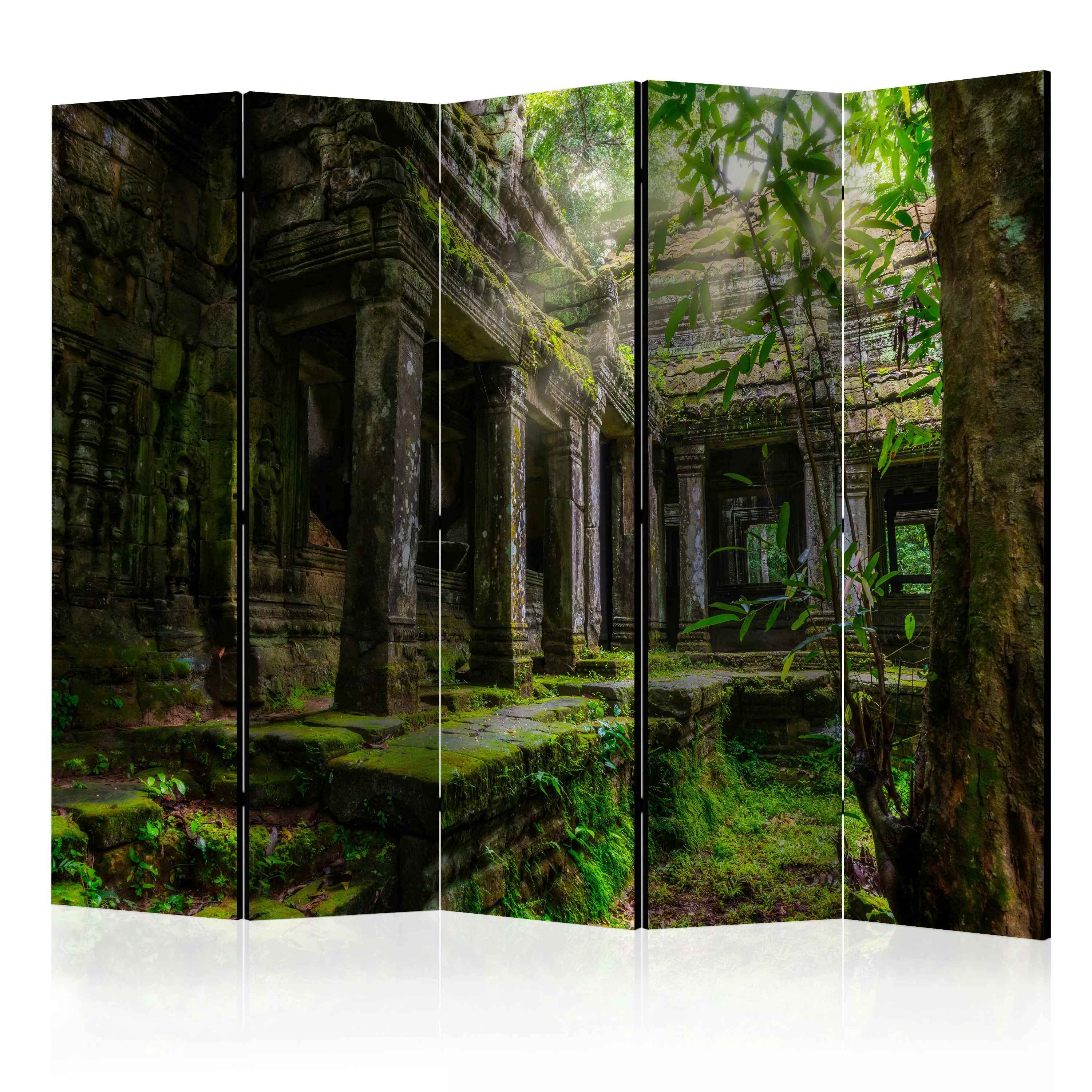 5-teiliges Paravent - Preah Khan Ii [room Dividers] günstig online kaufen