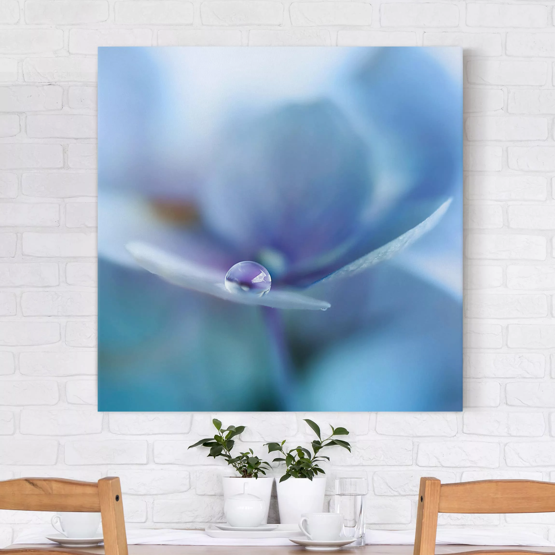 Leinwandbild Blumen - Quadrat Wassertropfen Hortensienblüte günstig online kaufen