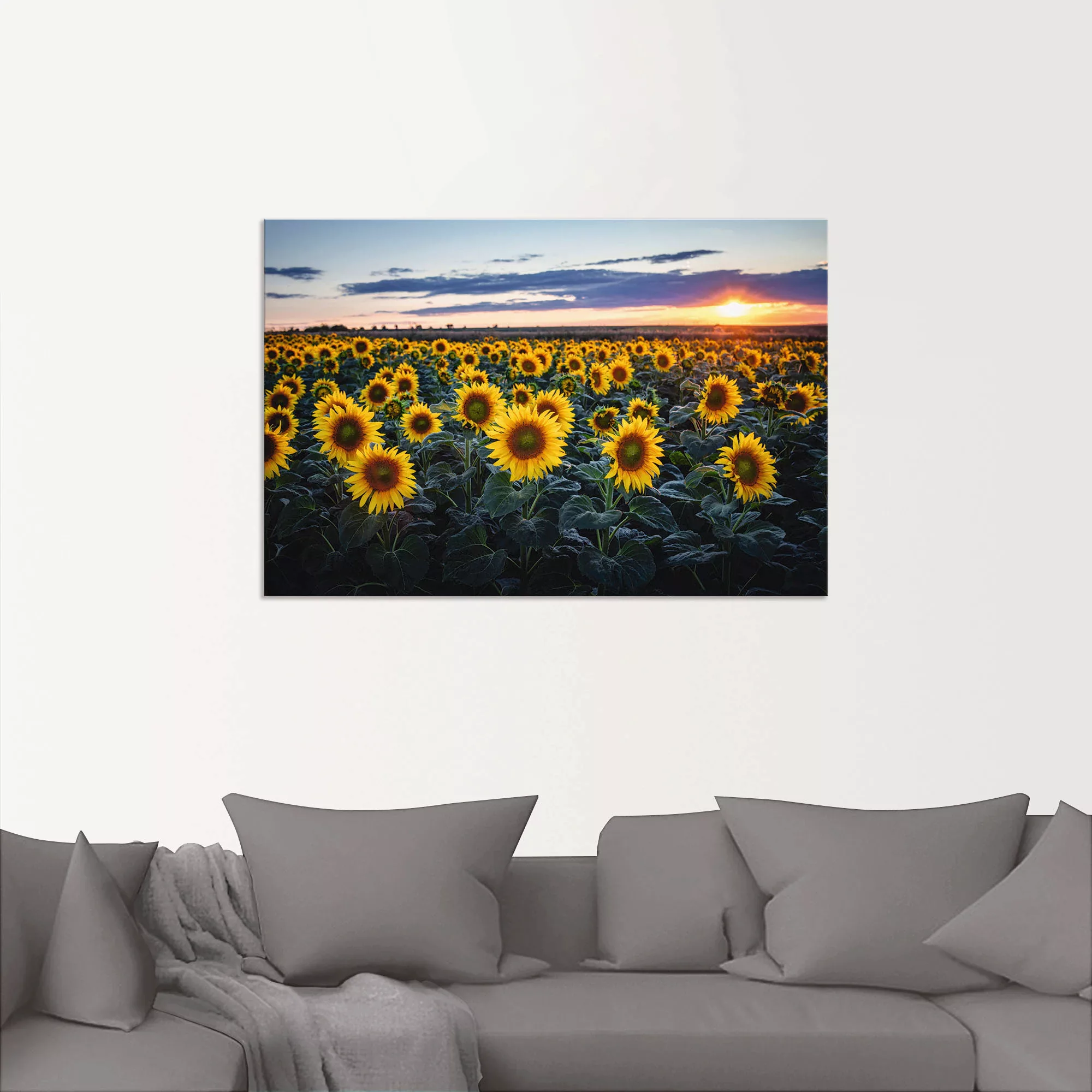 Artland Alu-Dibond-Druck »Sonnenblumenfeld, Sonne im Hintergrund«, Blumenwi günstig online kaufen