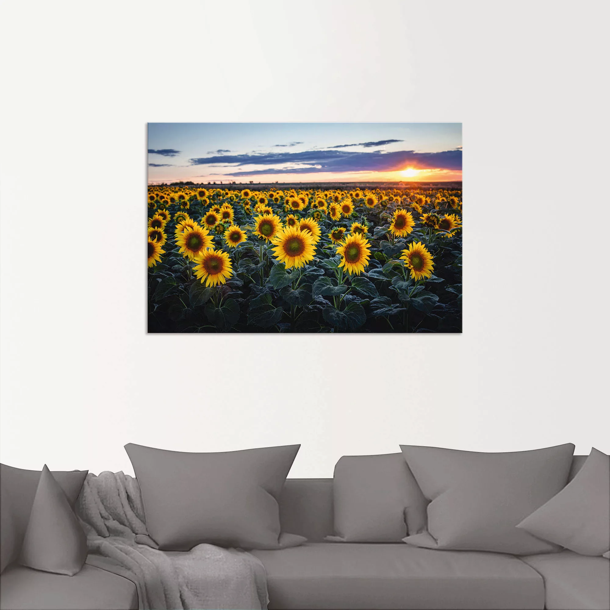 Artland Alu-Dibond-Druck "Sonnenblumenfeld, Sonne im Hintergrund", Blumenwi günstig online kaufen