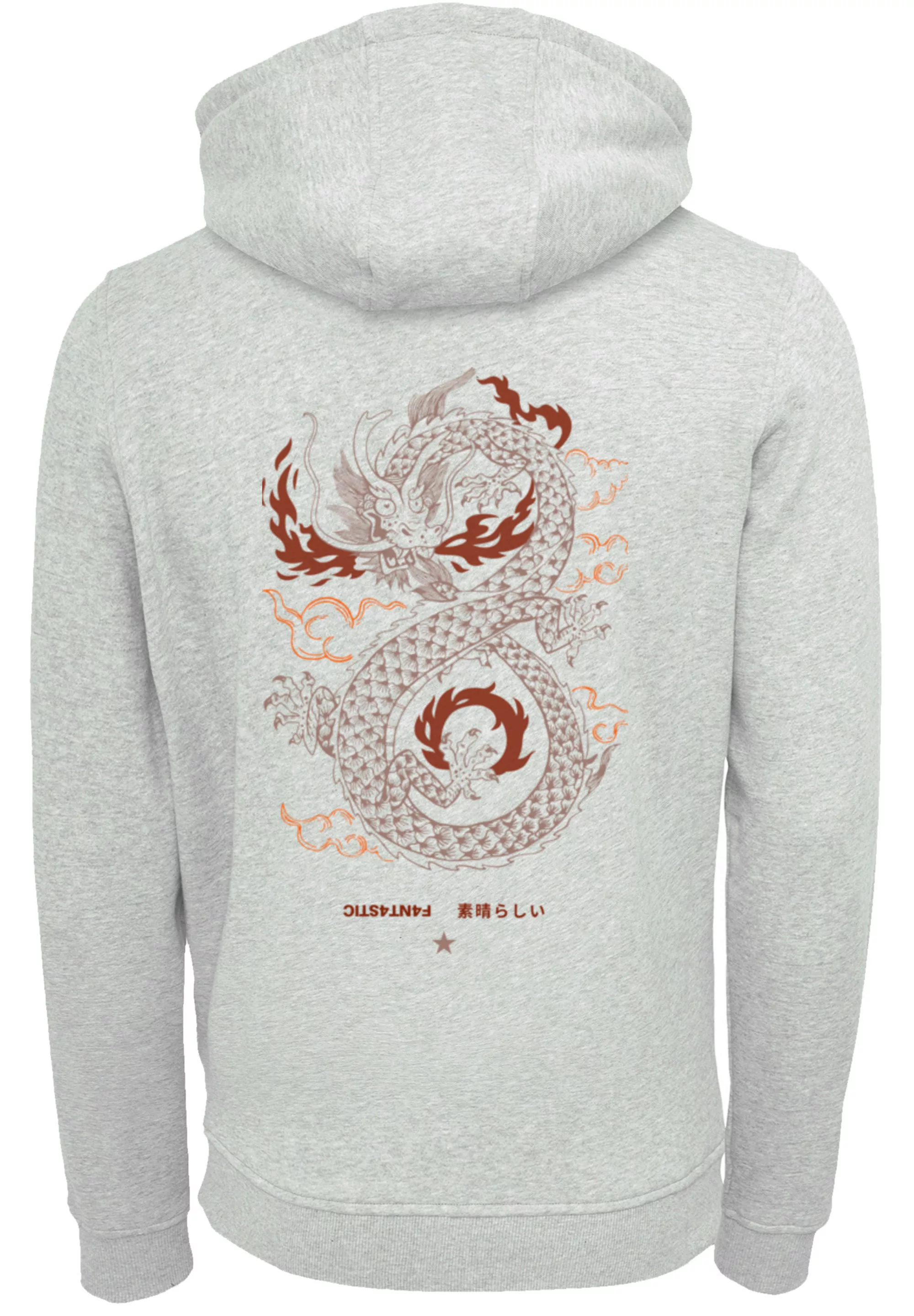 F4NT4STIC Kapuzenpullover "Dragon fire", Print günstig online kaufen