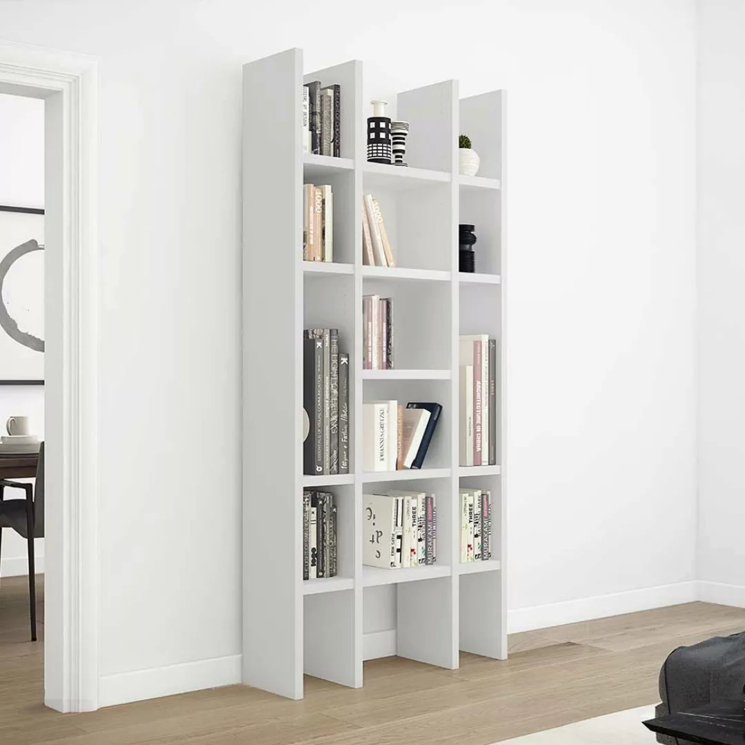 Wohnzimmer Regal Raumteiler 222 cm hoch - 120 cm breit günstig online kaufen