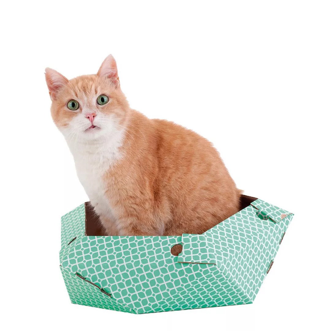 Katzenspielzeug United Pets Oliver Grün Box Pappe (45 X 45 X 25 Cm) günstig online kaufen