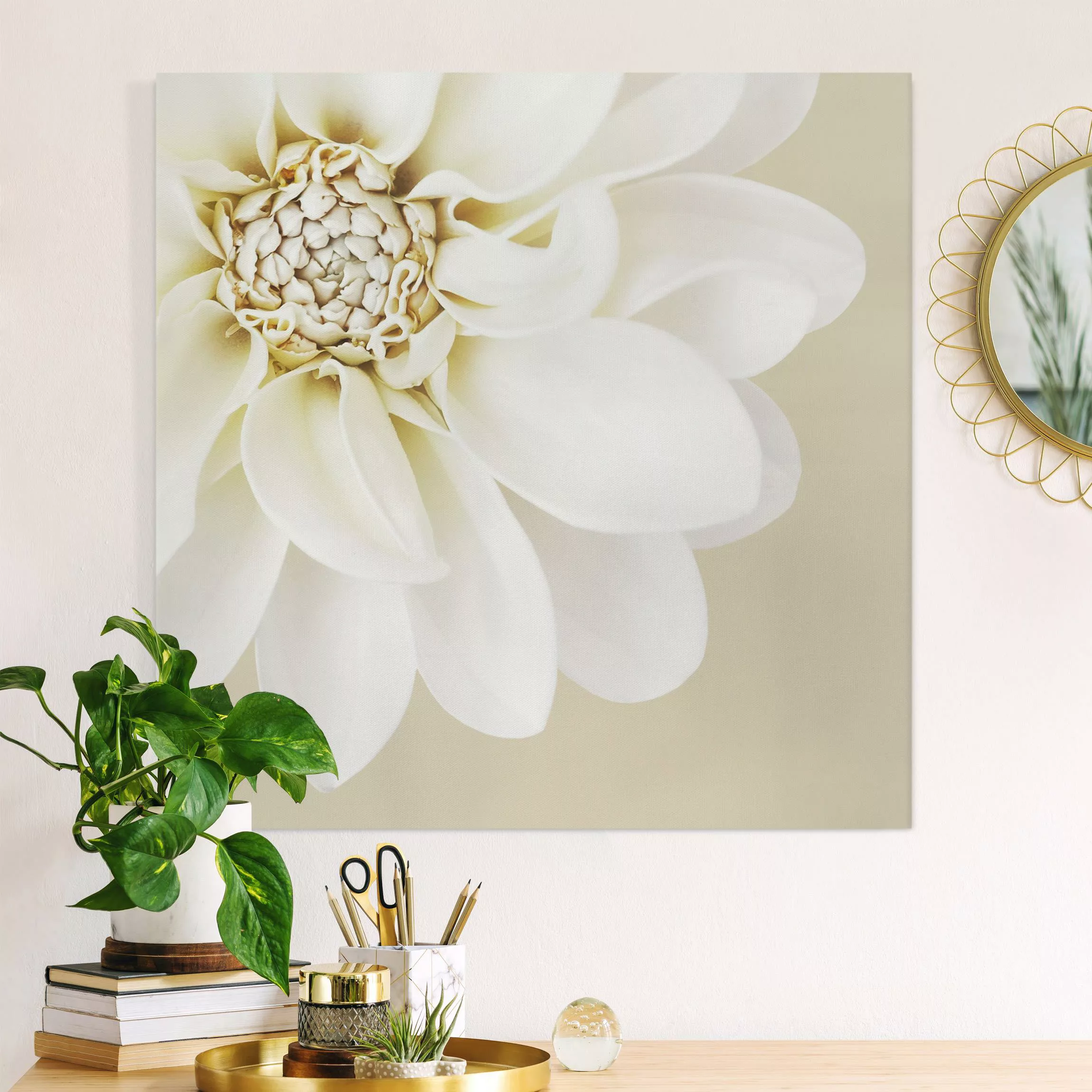 Leinwandbild Dahlie Weiß Pastell Sandfarben günstig online kaufen