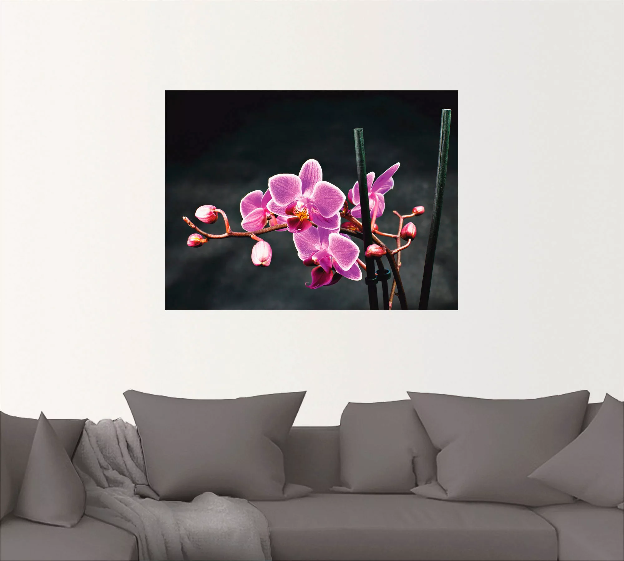 Artland Wandbild »Eine Orchidee vor schwarzem Hintergrund«, Blumen, (1 St.) günstig online kaufen