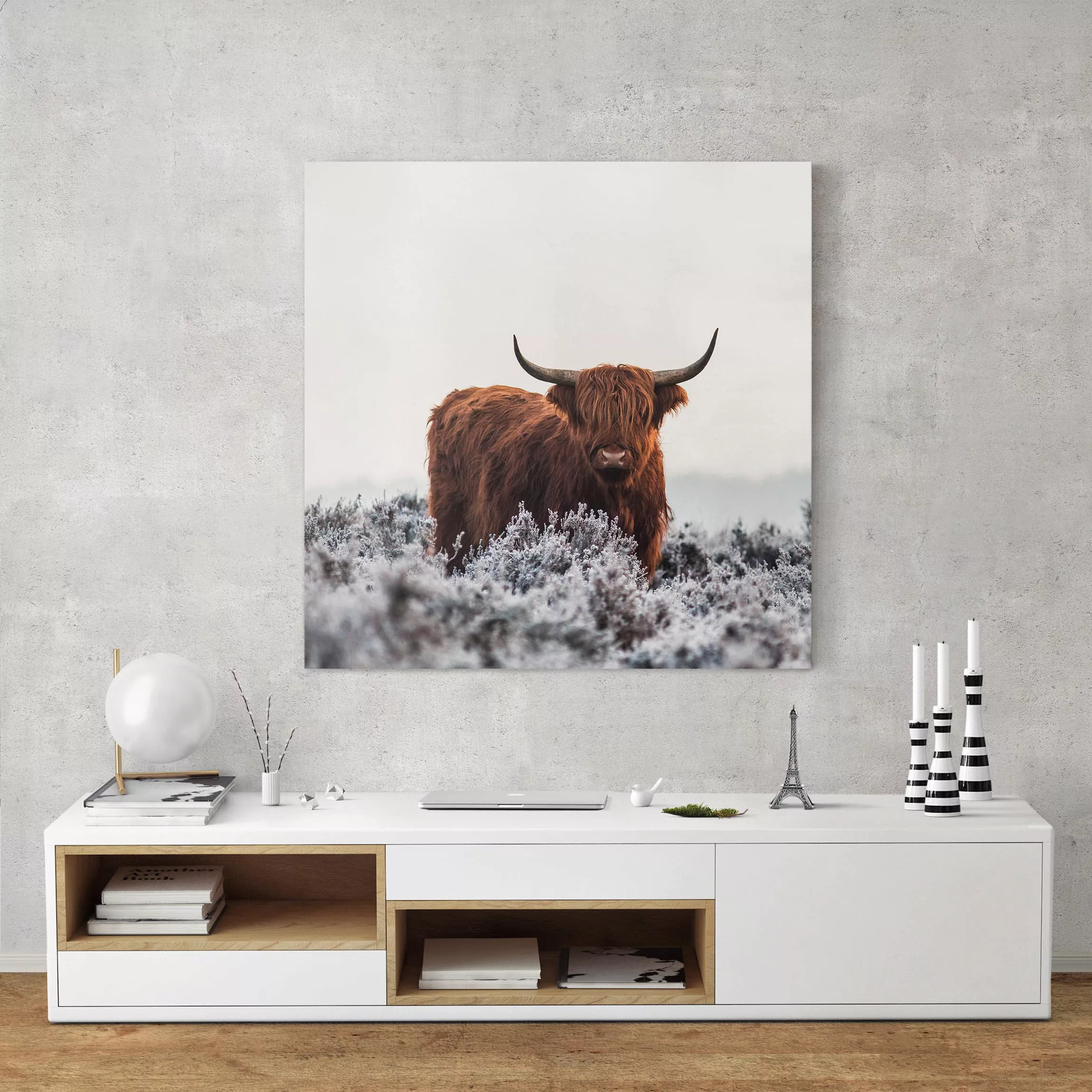 Leinwandbild Tiere - Quadrat Bison in den Highlands günstig online kaufen