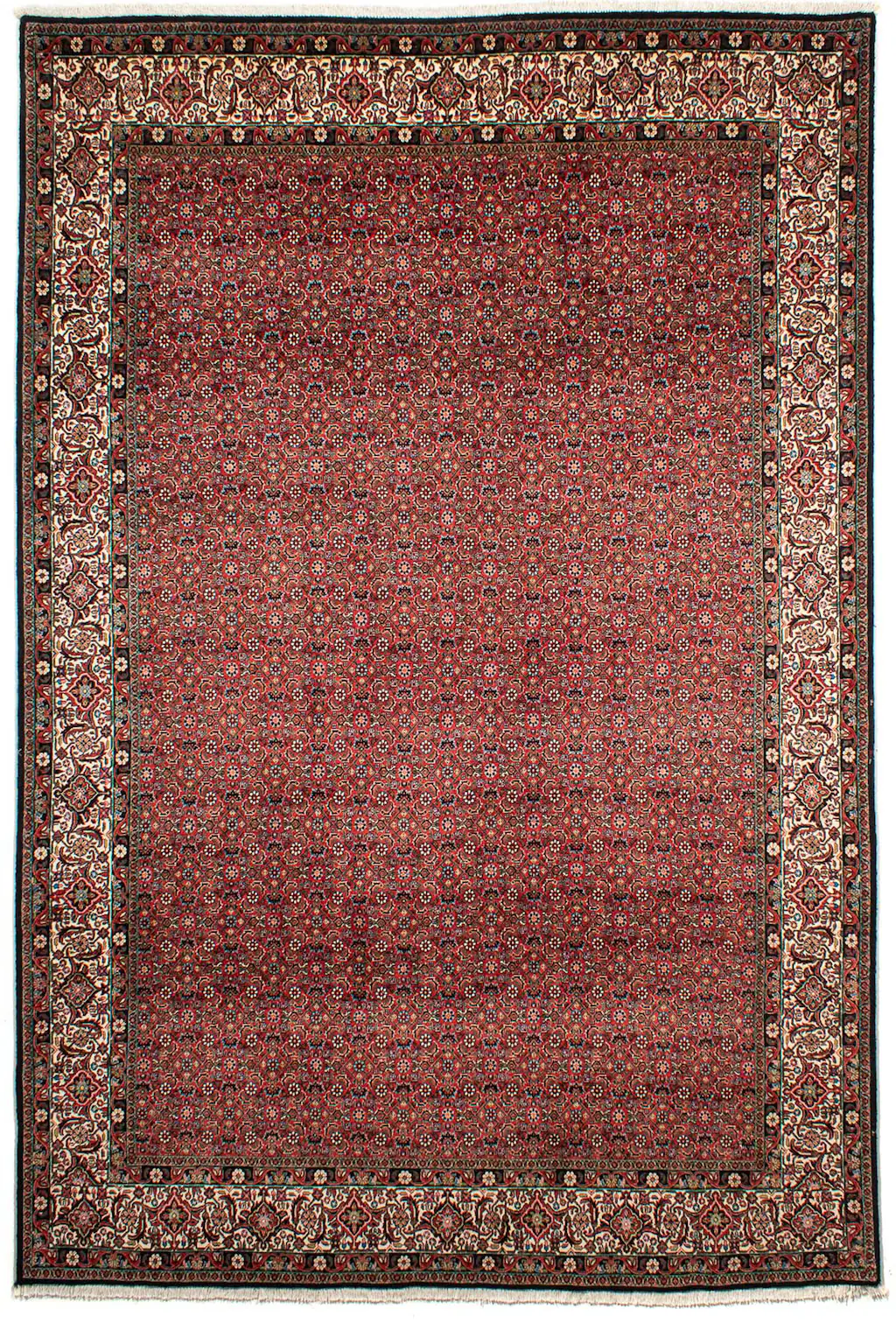 morgenland Orientteppich »Perser - Bidjar - 307 x 208 cm - dunkelrot«, rech günstig online kaufen