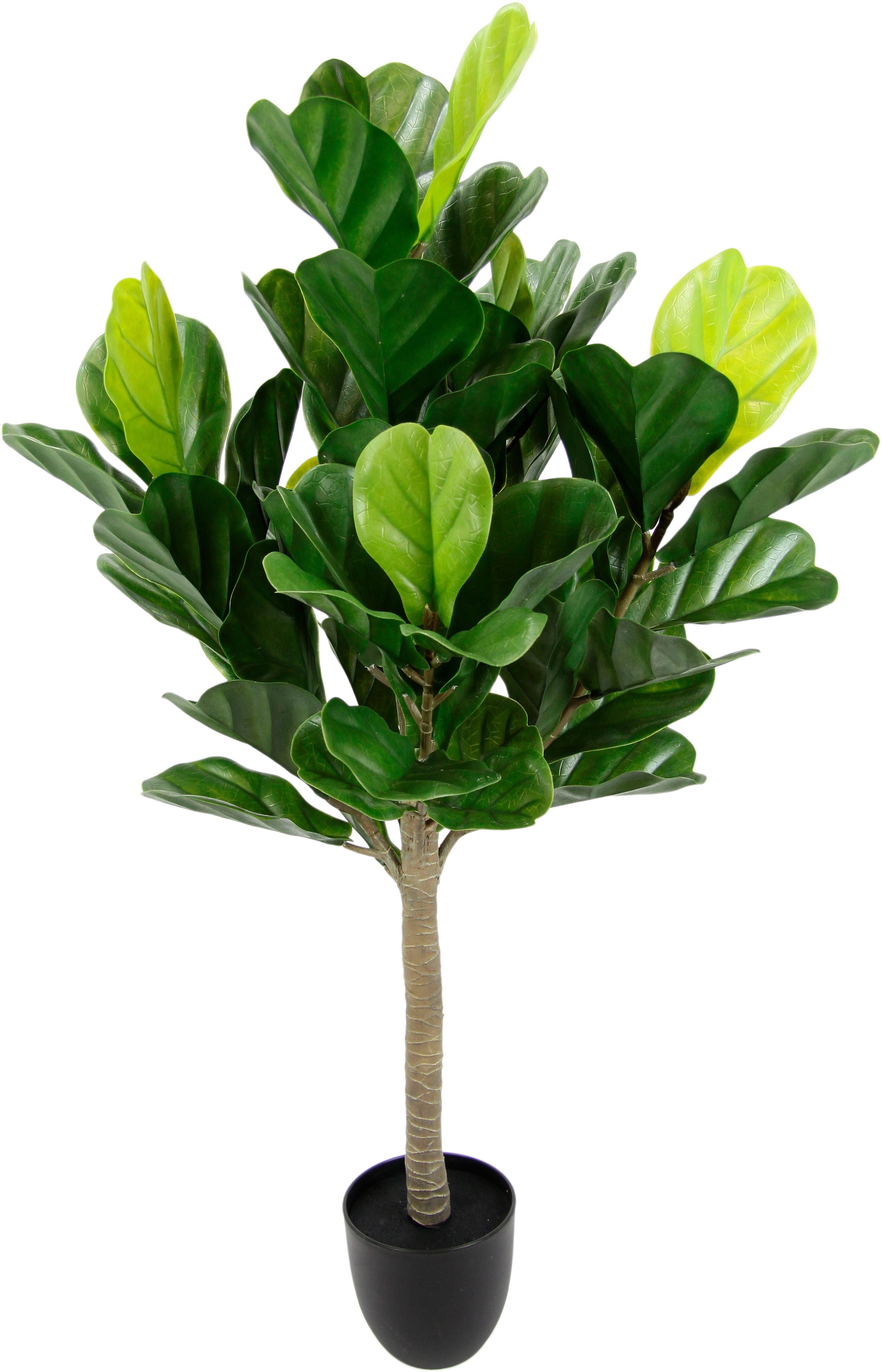 Kunstbaum Tabakbaum im Topf künstlich Geigenblatt günstig online kaufen