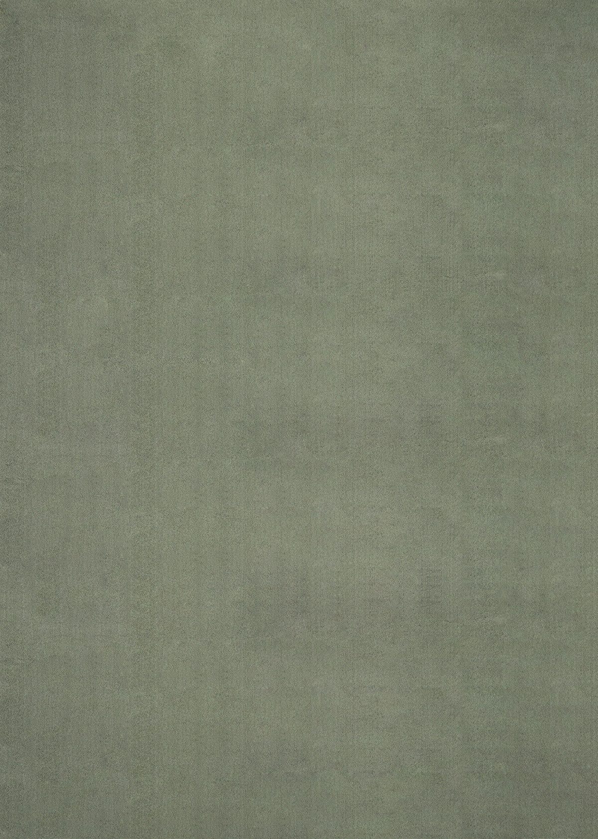 the carpet Teppich »Relax«, rechteckig, 16 mm Höhe, waschbarer Wohnzimmer T günstig online kaufen