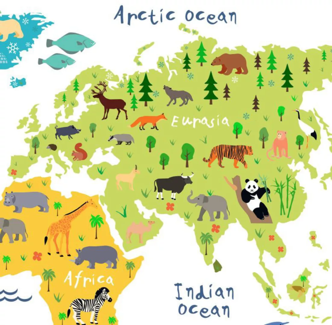 Wall-Art Wandtattoo "Tiere Weltkarte Englisch", (1 St.), selbstklebend, ent günstig online kaufen