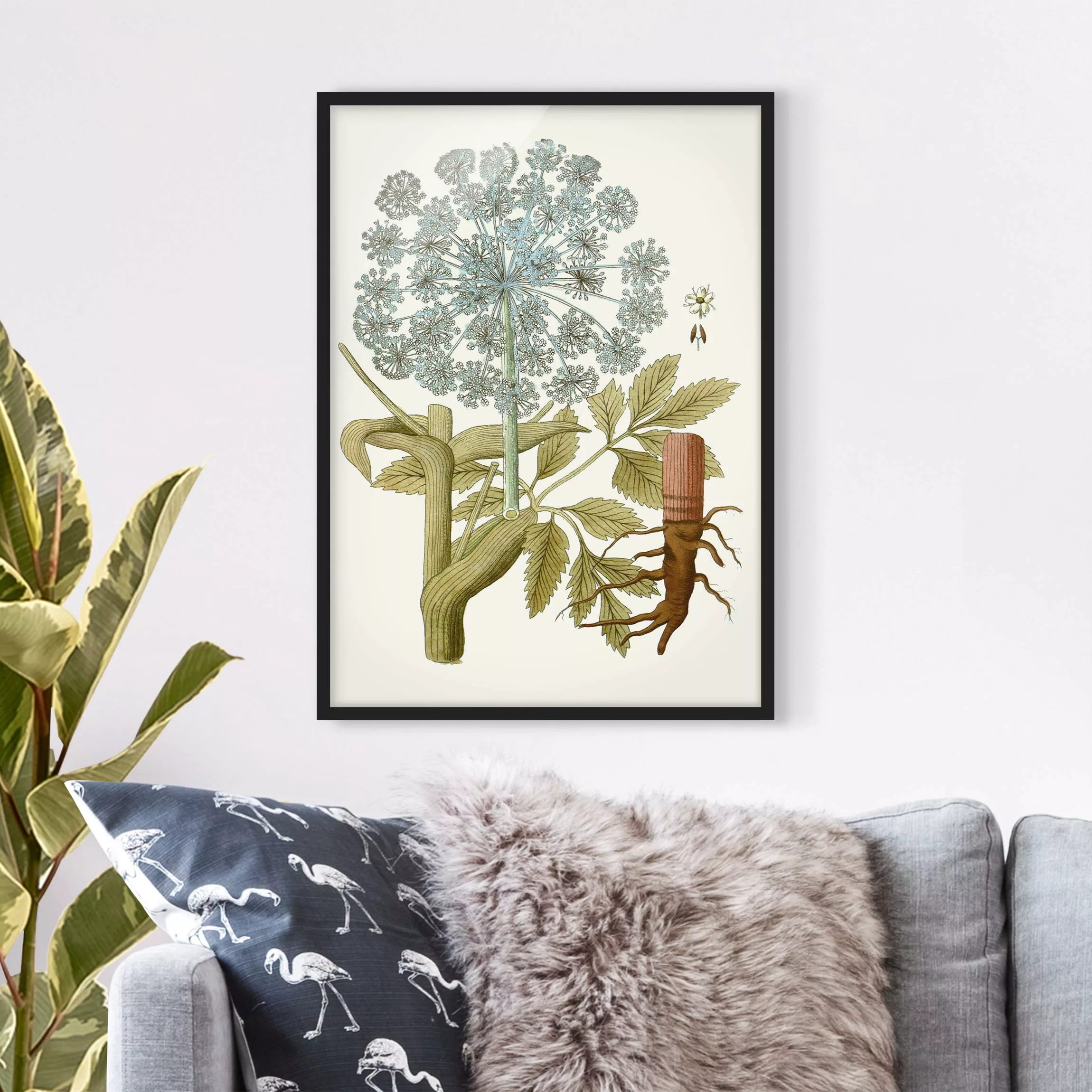 Bild mit Rahmen Blumen - Hochformat Wildkräuter Schautafel III günstig online kaufen