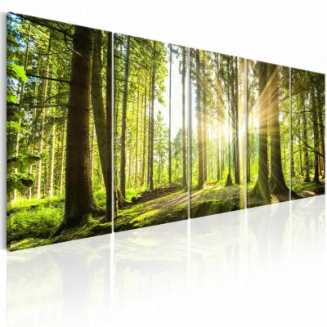 artgeist Wandbild Sunlight mehrfarbig Gr. 200 x 80 günstig online kaufen
